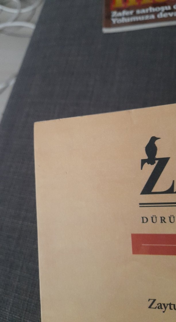 Zaytung 2009-2011 Kitabı - Görsel 5