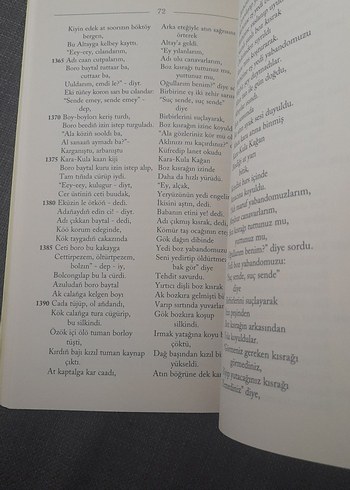 Altay Destanı - Moaday-Kara - Görsel 17