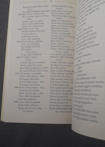 Altay Destanı - Moaday-Kara - Görsel 15