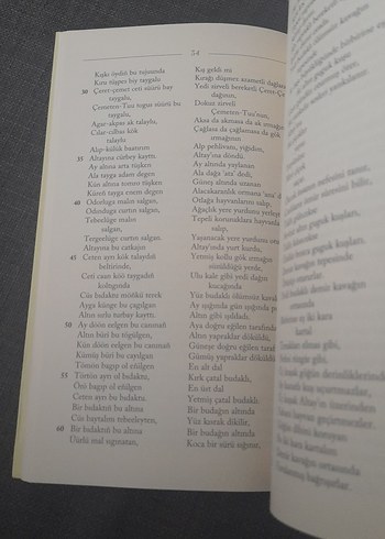 Altay Destanı - Moaday-Kara - Görsel 12