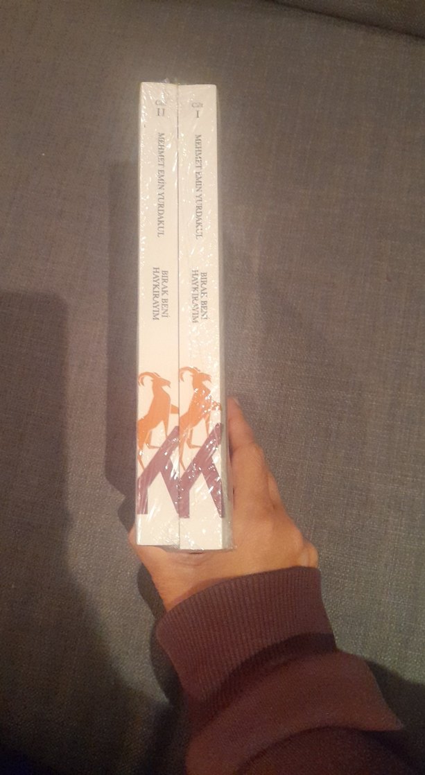 Mehmet Emin Yurdakul - Bırak Beni Haykırayım - Görsel 4