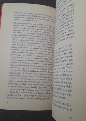 Üç Elma - Burcu Bayer - Görsel 12