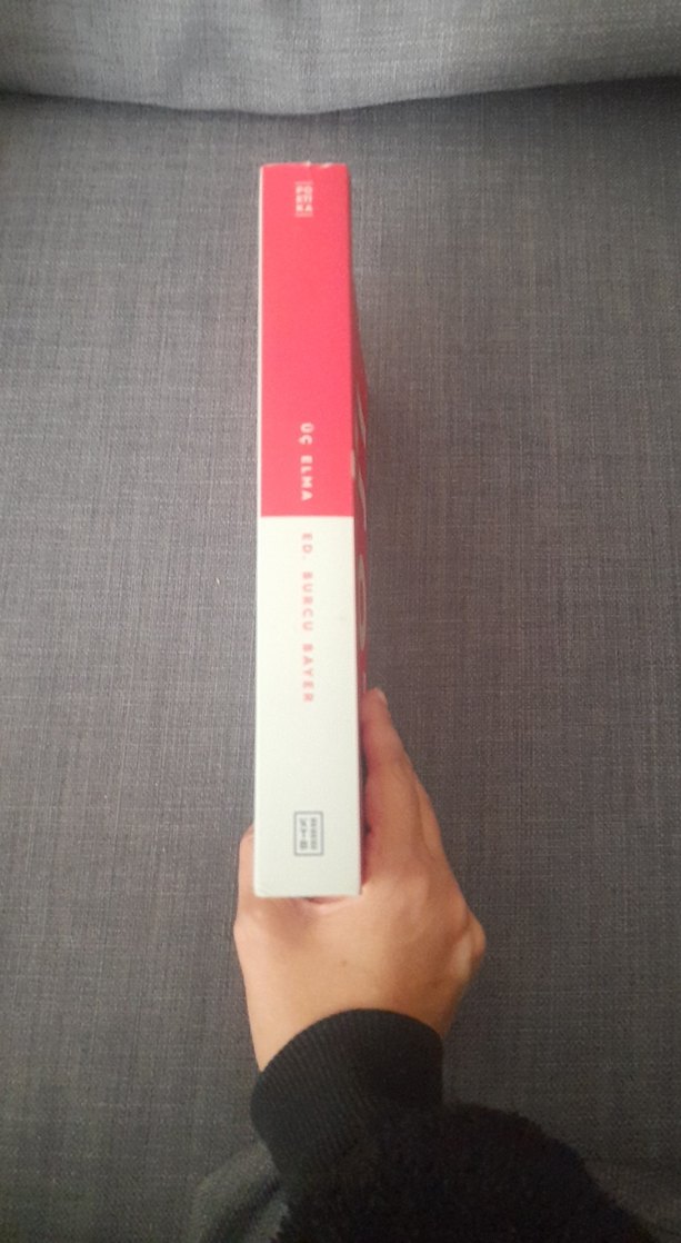 Üç Elma - Burcu Bayer - Görsel 5