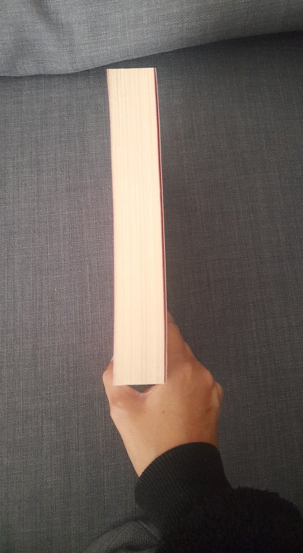 Üç Elma - Burcu Bayer - Görsel 3