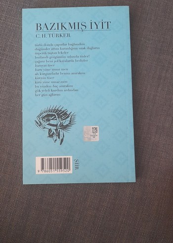 Bazıkmış İyit - C.H. Türker Kitap - Görsel 2
