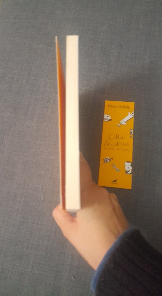 Cinai Absürtler ve Yakın Katillerim Kitabı - Görsel 4