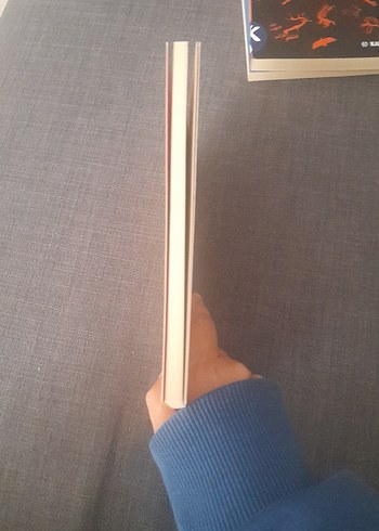 Semra Kosoval - Mitoloji Kitabı - Görsel 17