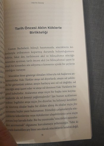 Kıyıdaki Deniz Kabukları - Metin Savaş - Görsel 7