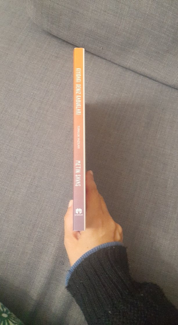 Kıyıdaki Deniz Kabukları - Metin Savaş - Görsel 3