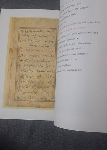 Dede Korkut KitabıSalur Kazan'ın Yedi Başlı Ejderhayı Öldürmesi - Görsel 12