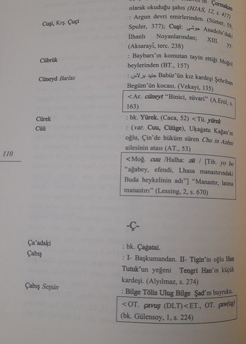 Eski Türk-Moğol Kişi Adları Sözlüğü Kitabı - Görsel 10
