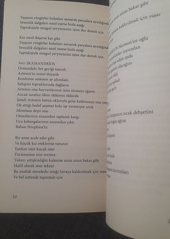 Abide - Alice Oswald Şiir Kitabı - Görsel 10