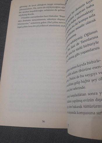 Şaman Masalları - Timur B. Davletov - Görsel 13