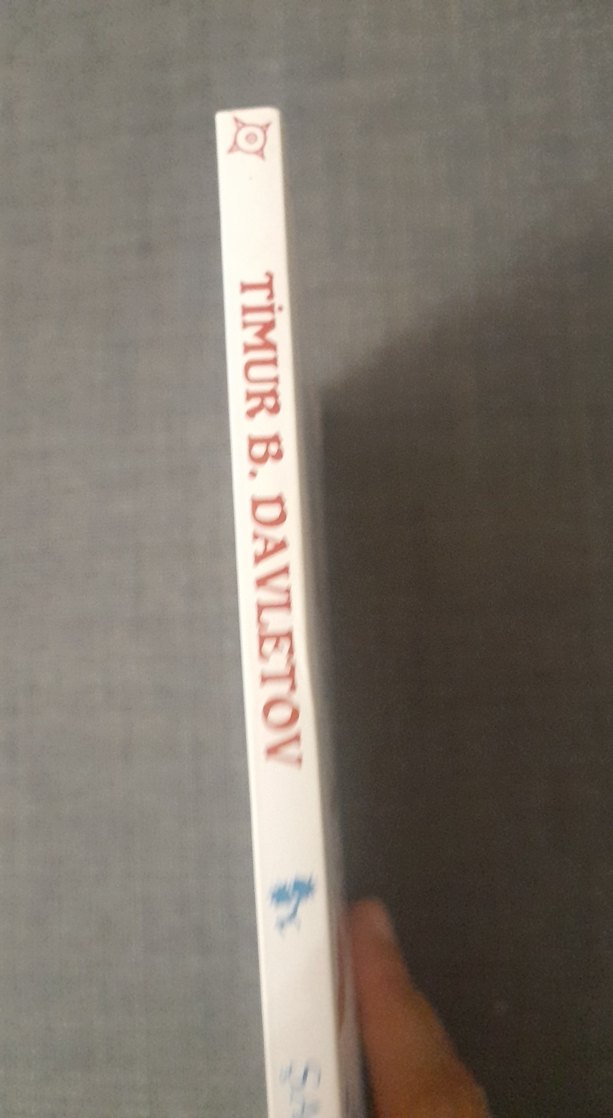 Şaman Masalları - Timur B. Davletov - Görsel 5