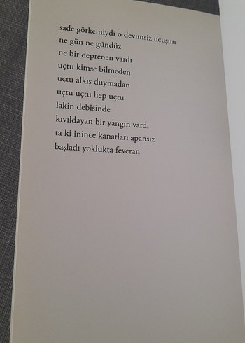 Can H. Türker - Yenilgiler Balbalı Kitabı - Görsel 11