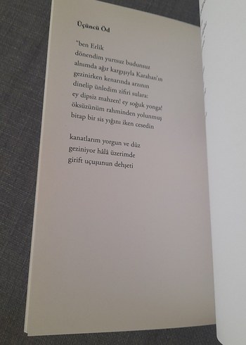 Can H. Türker - Yenilgiler Balbalı Kitabı - Görsel 13