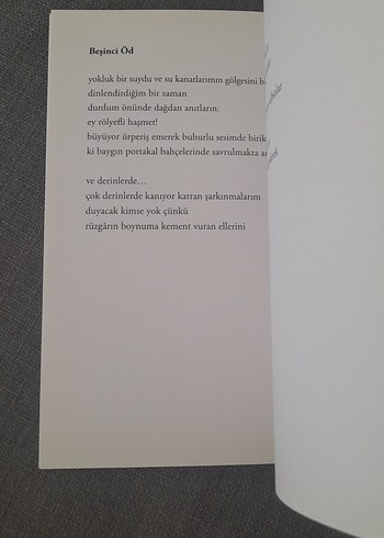 Can H. Türker - Yenilgiler Balbalı Kitabı - Görsel 14