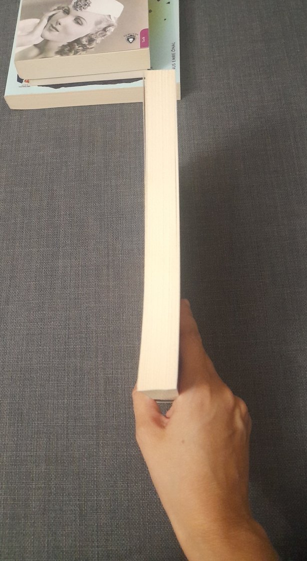 Türk Mitolojisi - Anthony E. Ocean - Görsel 3