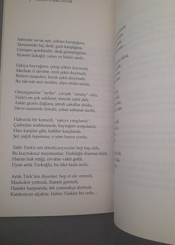 Öksüz Türklüğüm - İlhan Esen - Görsel 15