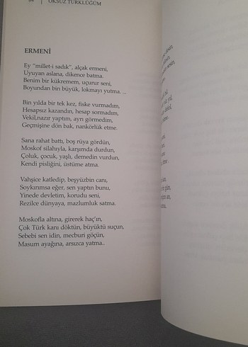 Öksüz Türklüğüm - İlhan Esen - Görsel 16