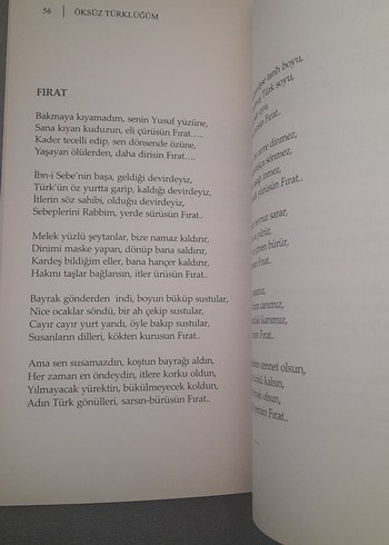 Öksüz Türklüğüm - İlhan Esen - Görsel 12