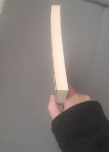 Öksüz Türklüğüm - İlhan Esen - Görsel 6