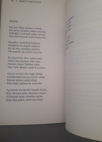 Öksüz Türklüğüm - İlhan Esen - Görsel 17