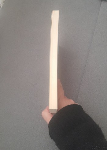 Öksüz Türklüğüm - İlhan Esen - Görsel 5