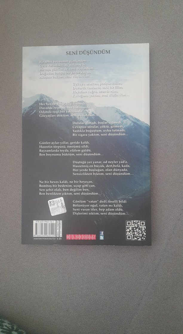 Öksüz Türklüğüm - İlhan Esen - Görsel 2