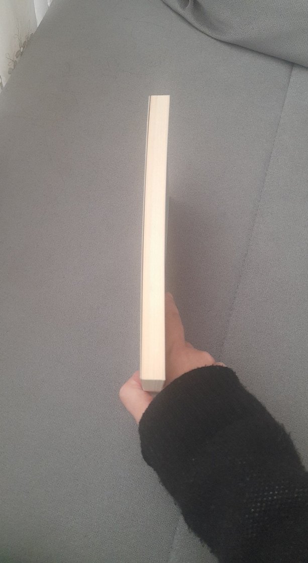 Öksüz Türklüğüm - İlhan Esen - Görsel 5