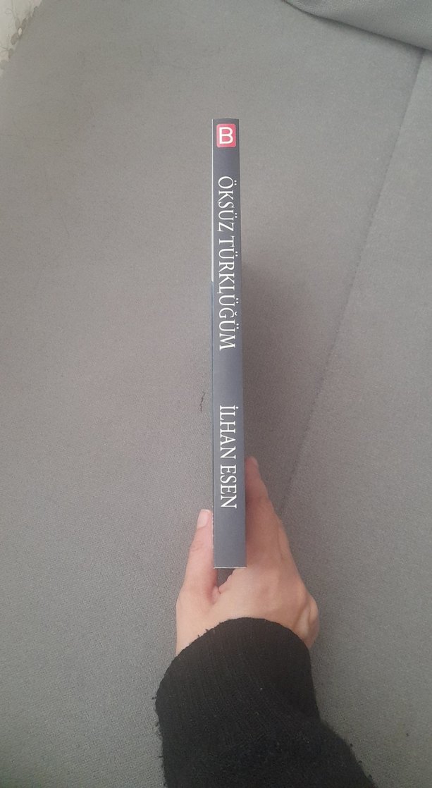 Öksüz Türklüğüm - İlhan Esen - Görsel 4