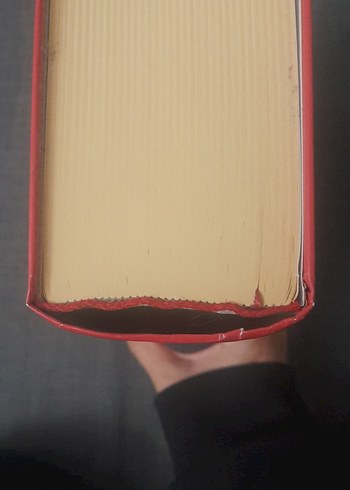 Codex Cumanicus Romanı - Mustafa Argunşah, Galip Güner - Görsel 9