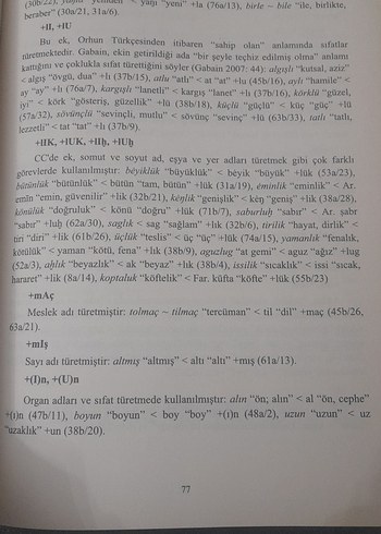 Codex Cumanicus Romanı - Mustafa Argunşah, Galip Güner - Görsel 18