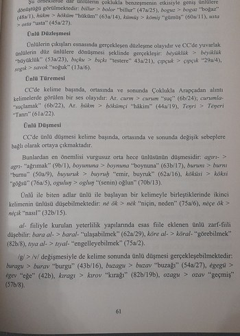 Codex Cumanicus Romanı - Mustafa Argunşah, Galip Güner - Görsel 17