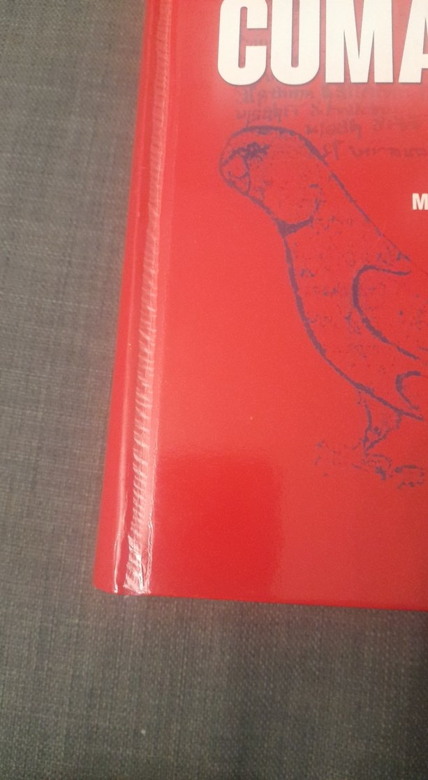 Codex Cumanicus Romanı - Mustafa Argunşah, Galip Güner - Görsel 3