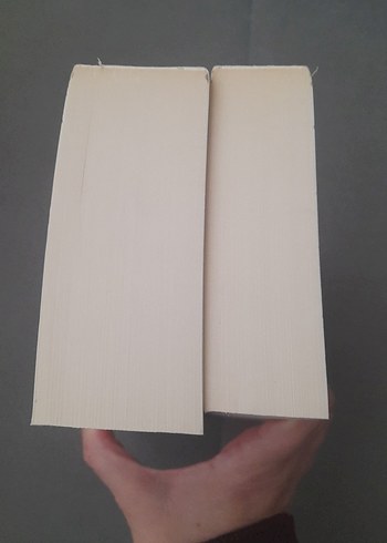 Homeros - İlyada ve Odysseia Seti - Görsel 7