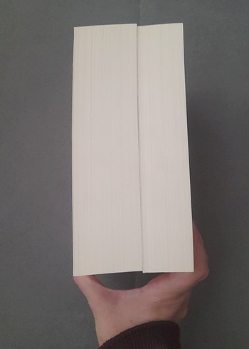 Homeros - İlyada ve Odysseia Seti - Görsel 6