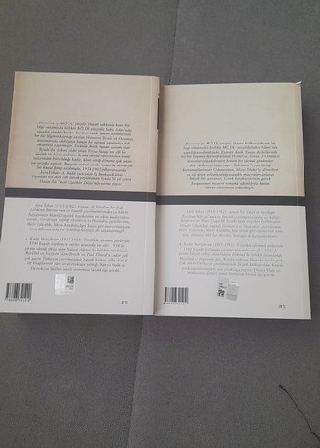 Homeros - İlyada ve Odysseia Seti - Görsel 8