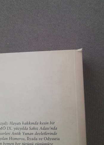 Homeros - İlyada ve Odysseia Seti - Görsel 9