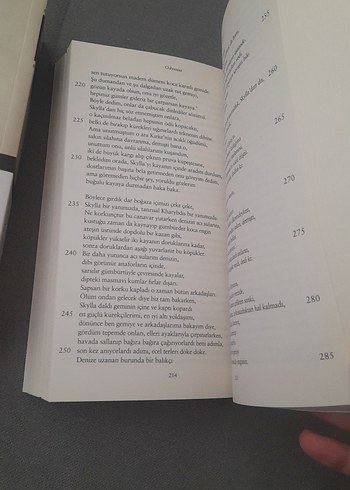 Homeros - İlyada ve Odysseia Seti - Görsel 14