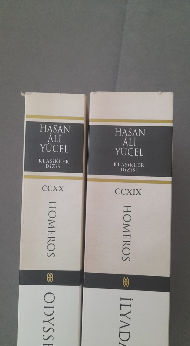 Homeros - İlyada ve Odysseia Seti - Görsel 4