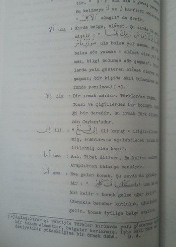 Divanü Lügati't-Türk Kitap Seti/TÜRK DİL KURUMU YAYINLARI - Görsel 16