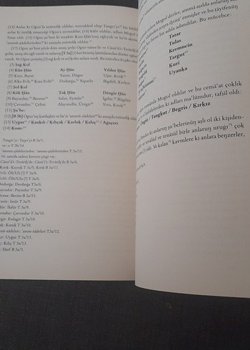 Yazıcızade Ali'nin Oğuznamesi - Sevim Yılmaz Önder - Görsel 12