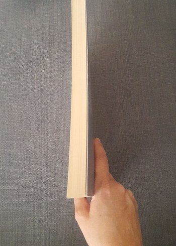 Yazıcızade Ali'nin Oğuznamesi - Sevim Yılmaz Önder - Görsel 2