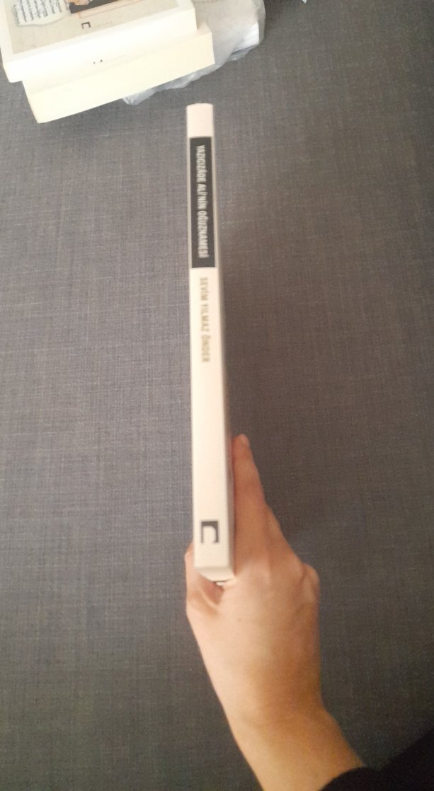 Yazıcızade Ali'nin Oğuznamesi - Sevim Yılmaz Önder - Görsel 5