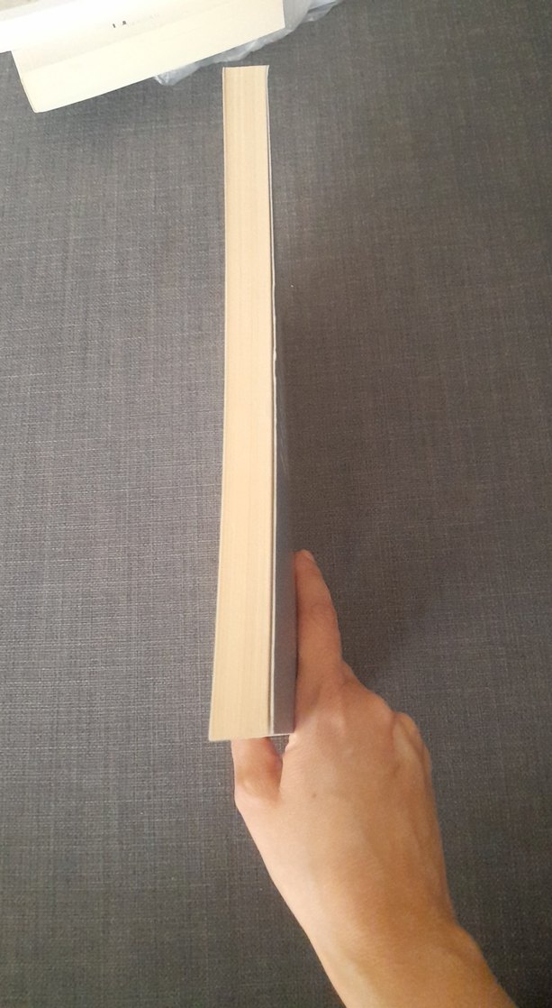 Yazıcızade Ali'nin Oğuznamesi - Sevim Yılmaz Önder - Görsel 2