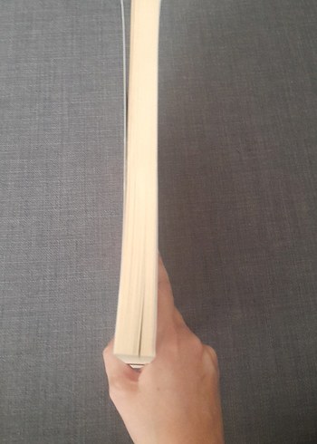 Türk-Moğol Mitolojisi - Akedil Toyşanuli - Görsel 6