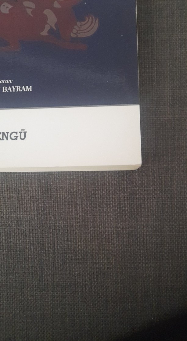 Türk-Moğol Mitolojisi - Akedil Toyşanuli - Görsel 4