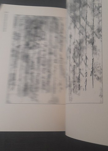 Nehir Destan - Oğuzname (Oguz Bitig) - Görsel 14