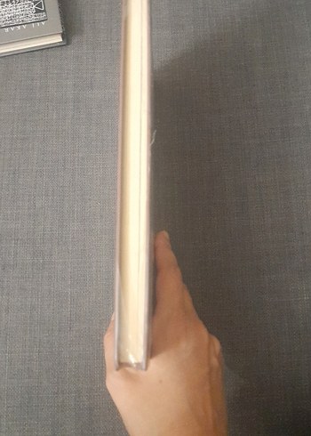 Kül Tigin Yazıtı - Ali Akar - Görsel 2